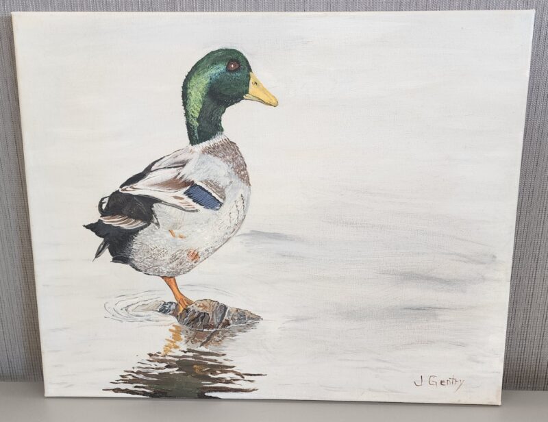  A realistic painting of a mallard duck standing on a rock in calm water, with its reflection visible below. Artwork signed by J. Gentry.